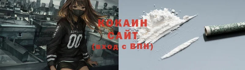 mega зеркало  Чкаловск  Cocaine Fish Scale  shop состав  как найти закладки 